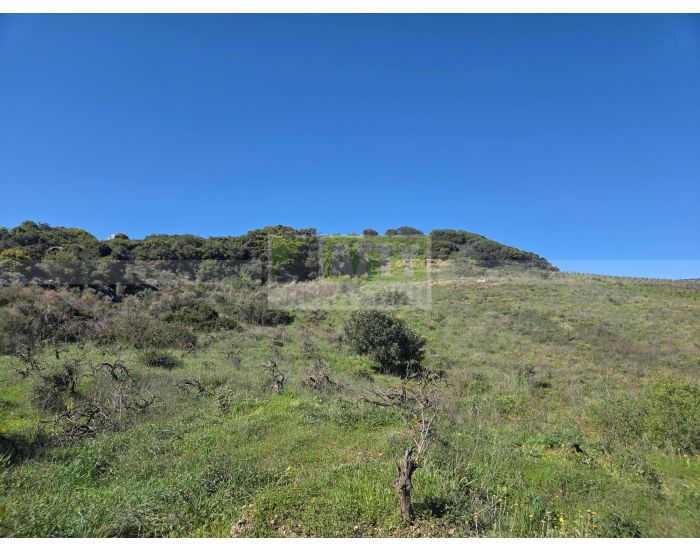 Πωλείται - ΚΑΡΝΑΡΙ