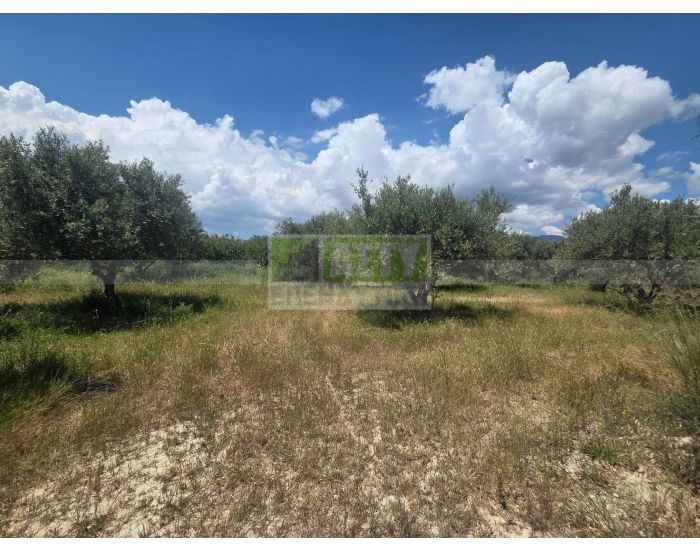 For Sale - DAFNES
