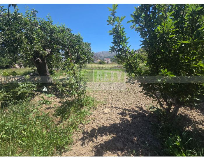 For Sale - PSYCHRO LASITHI
