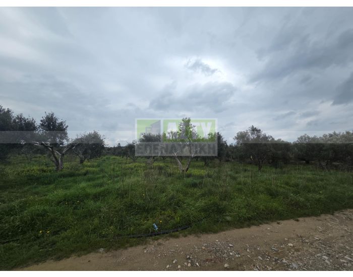 Πωλείται - ΙΝΙ