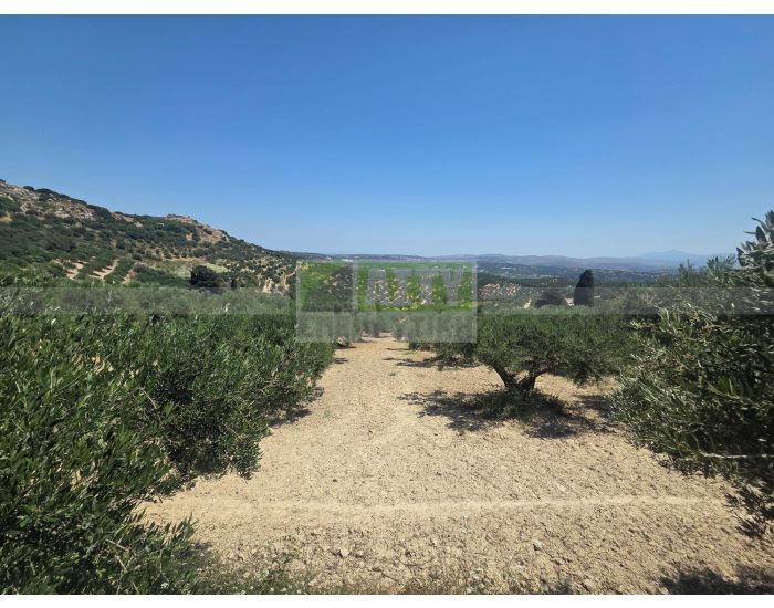 For Sale - KALLONI