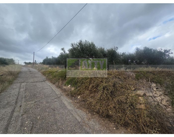 For Sale - SPILIA