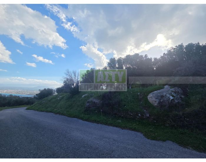 For Sale - PANTANASSA