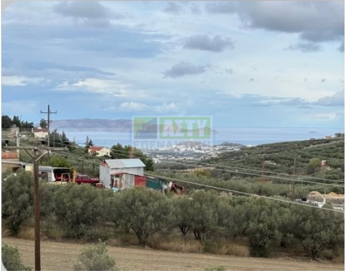 Πωλείται - ΒΑΣΙΛΕΙΕΣ