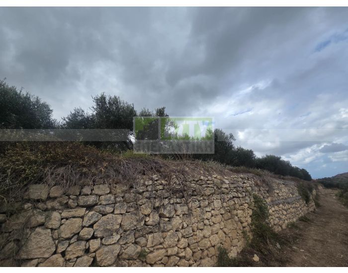 For Sale - SPILIA