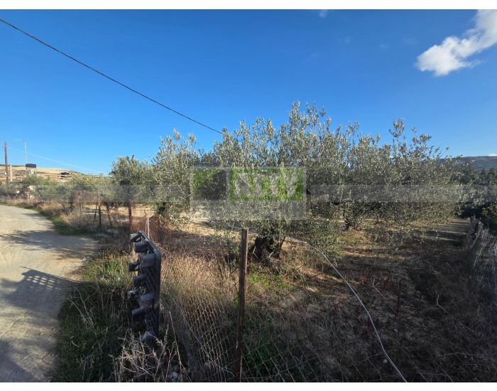 For Sale - AGIA EIRINI SPILIA