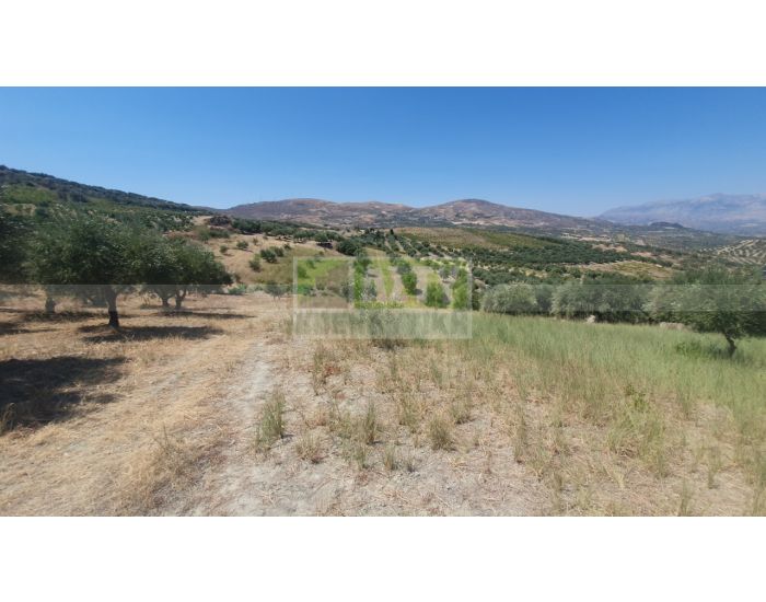 For Sale - CHOUDETSI