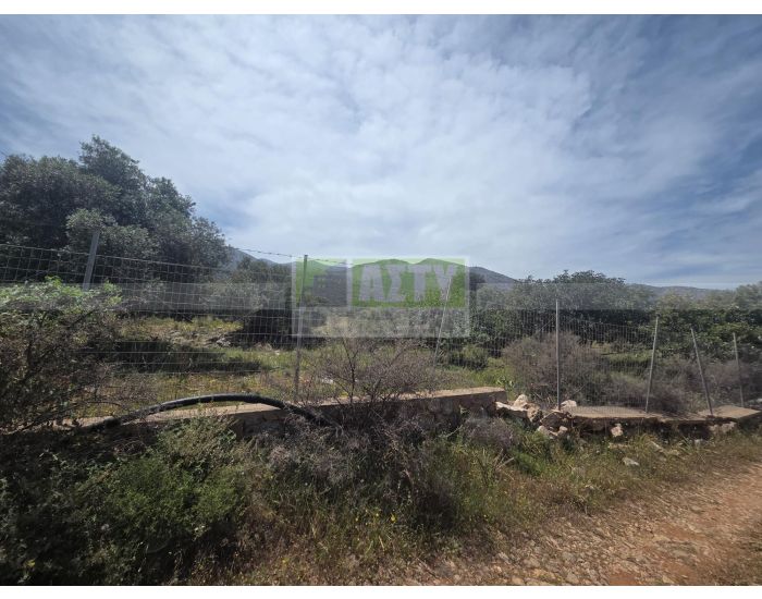 For Sale - MALIA