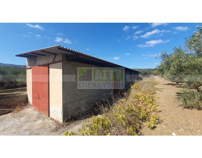 For Sale - PEZA