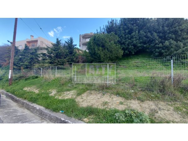 For Sale - PATSIDES