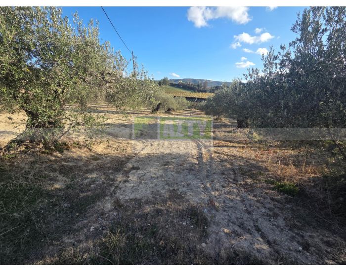 For Sale - AGIA EIRINI SPILIA