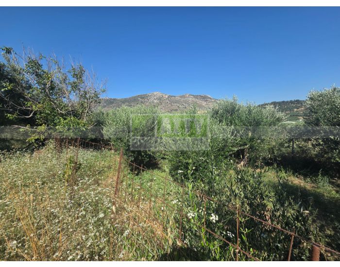 For Sale - ARCHANES KATO