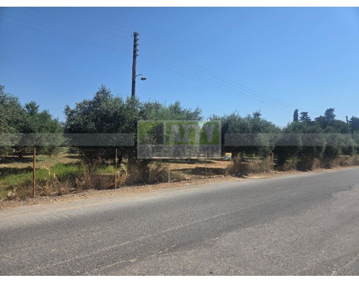 For Sale - ARKALOCHORI