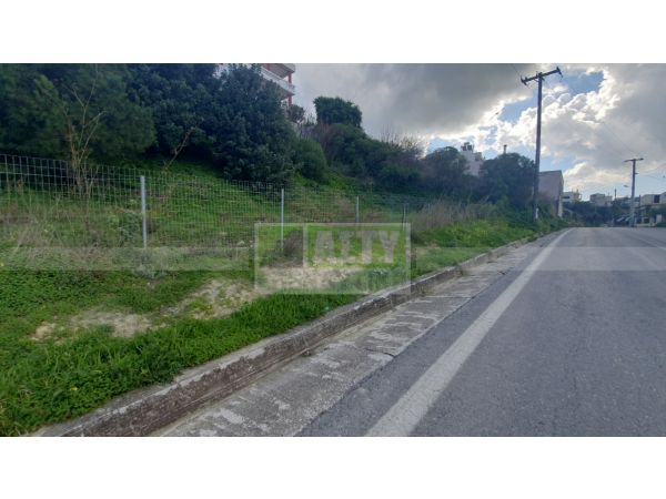 For Sale - PATSIDES