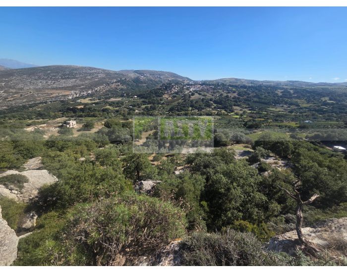 For Sale - AGIOS THOMAS