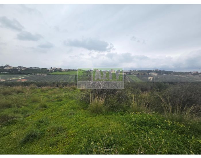 For Sale - MARATHITIS