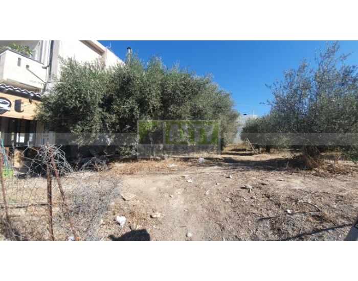 For Sale - KAPPARIANA