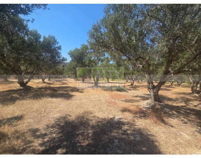 For Sale - SKALANI