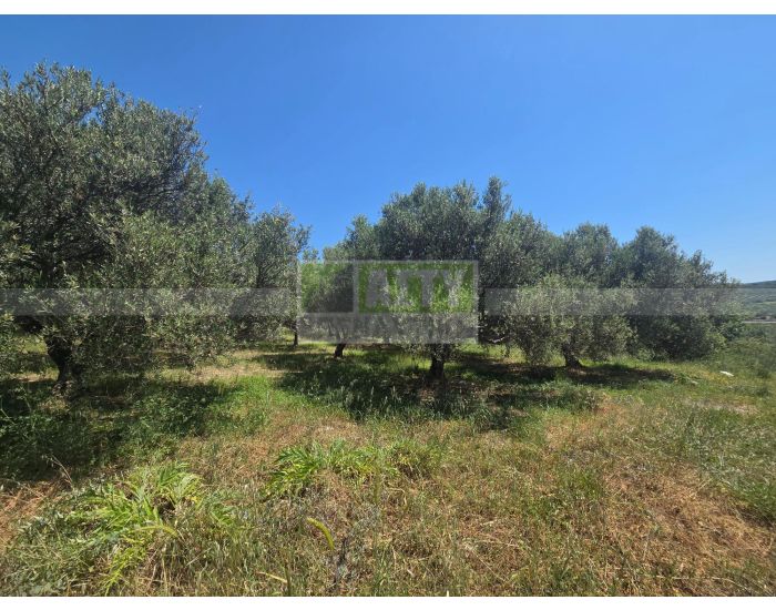 For Sale - SIVA