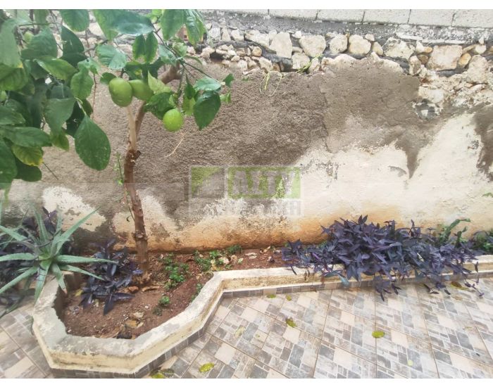 For Sale - LIONTARIA