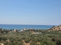 ΚΕΡΑΤΟΚΑΜΠΟΣ - 5