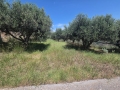ΠΕΤΡΟΚΕΦΑΛΟ - 4