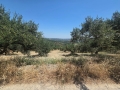 KALLONI - 1