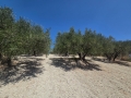 ΣΤΑΥΡΑΚΙΑ - 4