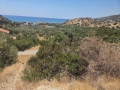 ΚΕΡΑΤΟΚΑΜΠΟΣ - 4