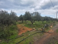 ΧΕΡΣΟΝΗΣΣΟΣ - 1
