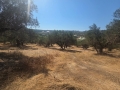 ΣΚΑΛΑΝΙ - 3