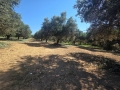 ARKALOCHORI - 5
