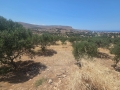 ΓΟΥΡΝΕΣ ΠΕΔΙΑΔΟΣ - 1