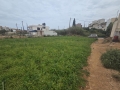 AGIA PELAGIA - 6