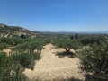 KALLONI - 5