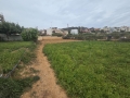 AGIA PELAGIA - 5