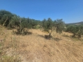 ΣΚΑΛΑΝΙ - 3