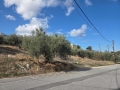 ΑΓΙΟΣ ΙΩΑΝΝΗΣ - 4