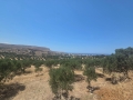 ΓΟΥΡΝΕΣ ΠΕΔΙΑΔΟΣ - 4