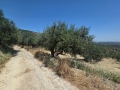 KALLONI - 2