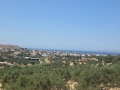 ΓΟΥΡΝΕΣ ΠΕΔΙΑΔΟΣ - 6
