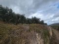 SPILIA - 2
