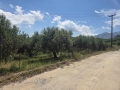 ΠΕΤΡΟΚΕΦΑΛΟ - 2