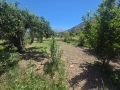 PSYCHRO LASITHI - 7