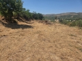 ΜΕΛΕΣΕΣ - 2
