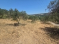 ΣΚΑΛΑΝΙ - 2