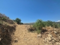 ΜΕΛΕΣΕΣ - 5