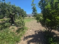 PSYCHRO LASITHI - 6