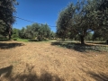 ARKALOCHORI - 6
