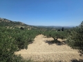 KALLONI - 4